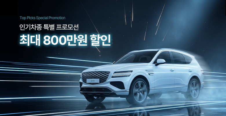 인기 차종 특별 프로모션
